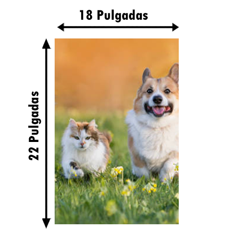 1 cuadro con tu foto